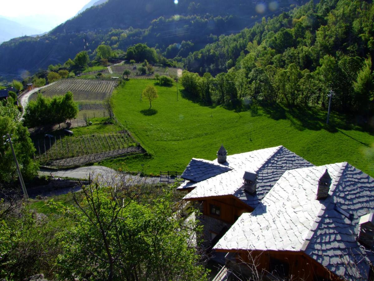 Le Renard D'Introd Bed and Breakfast Buitenkant foto